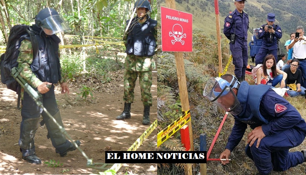 EL DESMINADO EN COLOMBIA.