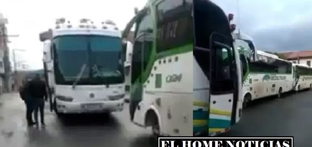 Buses con venezolanos