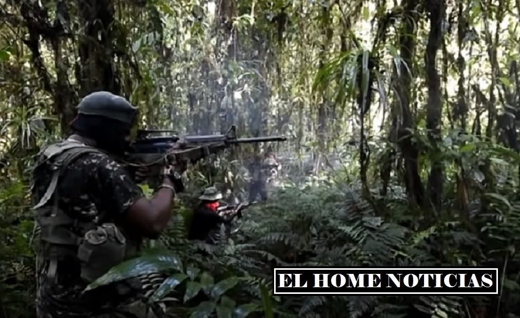 ELN y disidencias de las FARC