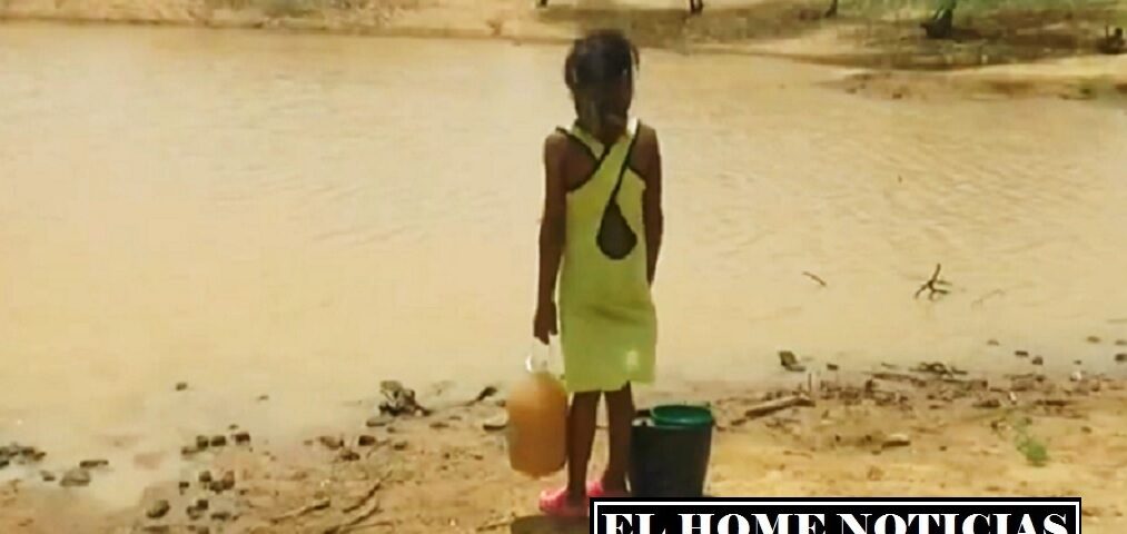 El fracaso judicial que mata de sed y hambre a los wayuu