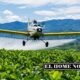 Una avioneta de aspersión sobrevuela un cultivo de coca