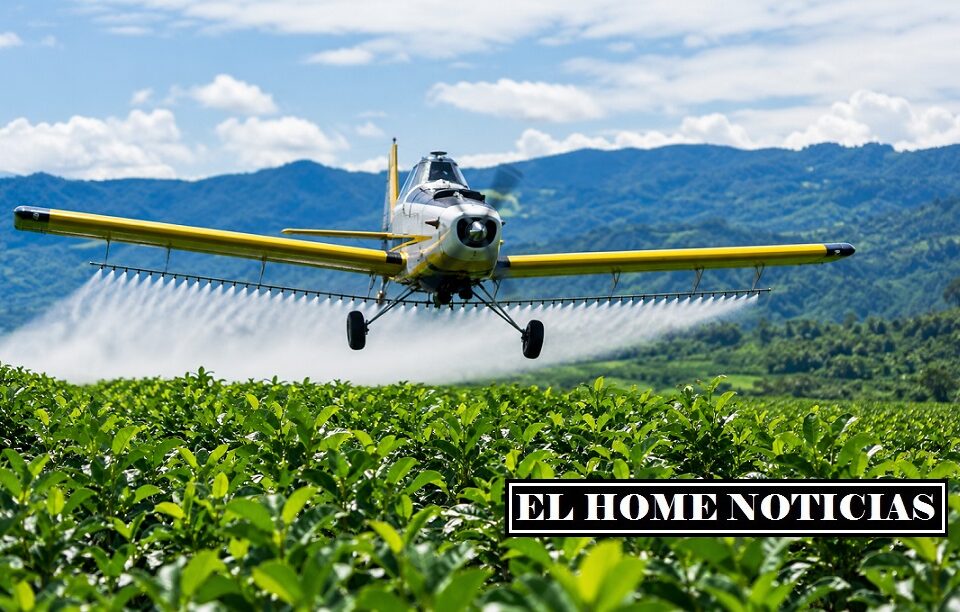 Una avioneta de aspersión sobrevuela un cultivo de coca