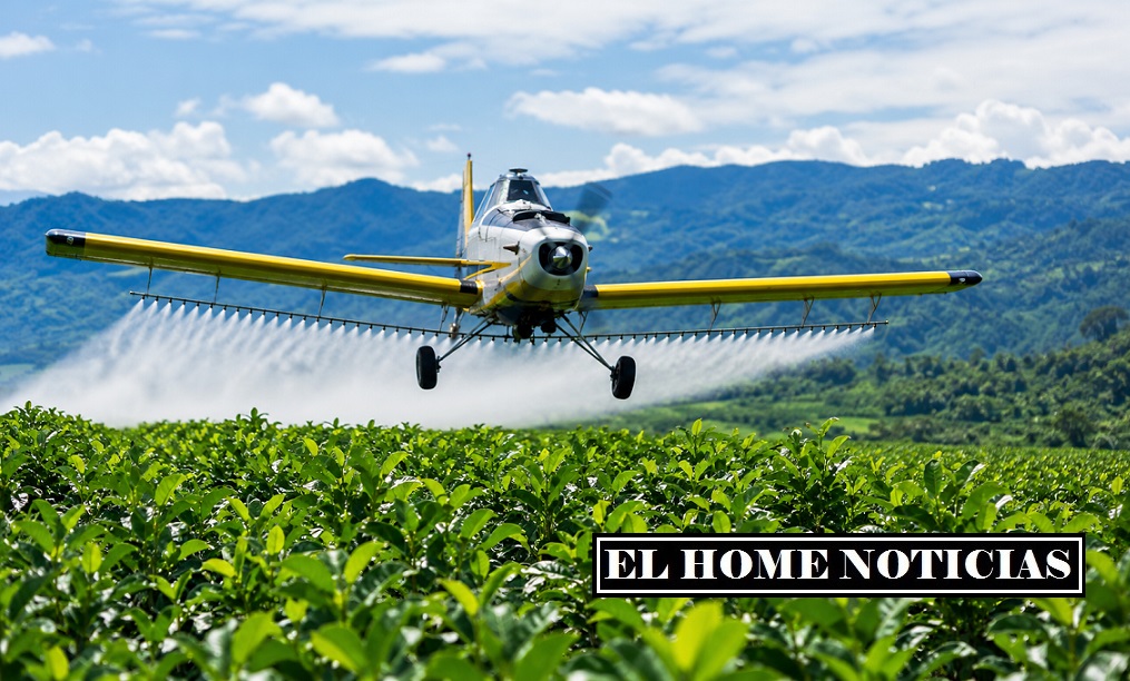 Una avioneta de aspersión sobrevuela un cultivo de coca